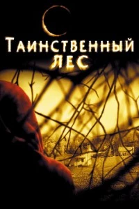 Таинственный лес фильм poster