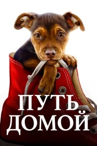 Путь домой фильм poster