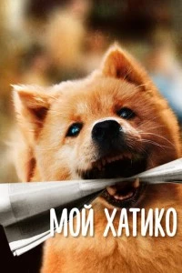 Мой Хатико фильм poster