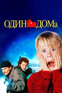 Один дома фильм poster