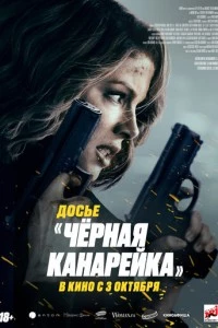 Досье «Чёрная канарейка» фильм poster